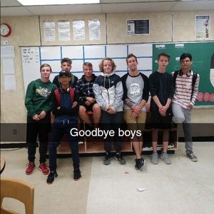 Meet your Posher, Beau